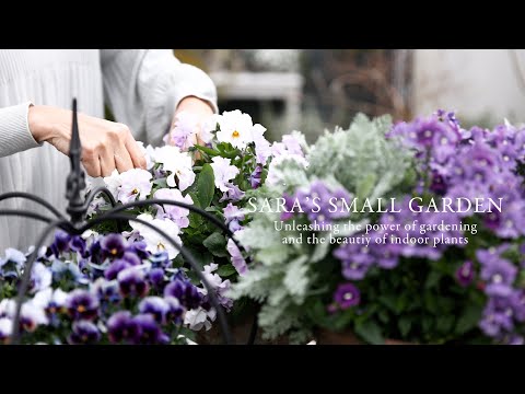 The Enchanting Magic And Allure Of Gardening And Houseplants