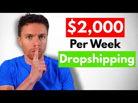 The Most Unsaturated Way to Make Money Dropshipping in 2025 ($250 Per Day)