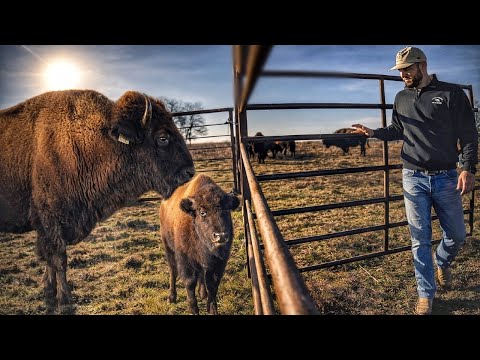 This Was Supposed to Be Easy… Big Mistake!