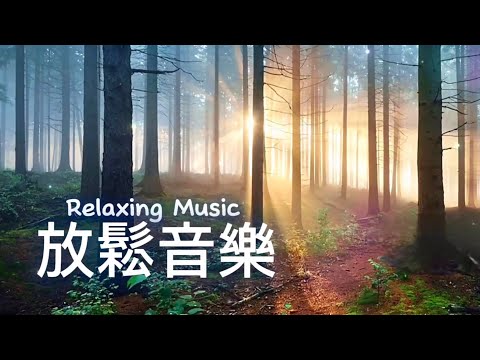 放鬆音樂Relaxing Music | 微風輕拂樹梢,林間草葉低語,晨光喚醒萬物,大地燦然一新,平心靜氣的輕音樂|#輕音樂 #平靜音樂 #放鬆 #冥想 #睡眠 #softmusic