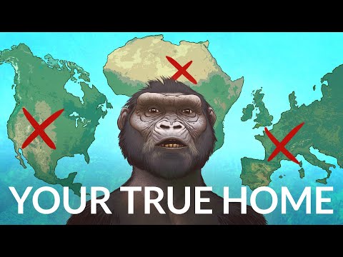 Where Are Humans Really From?