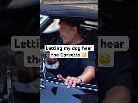I think Lucky agrees that the Corvette sounds good!