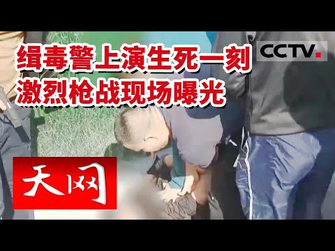 《天网》恐怖！闹市突发激烈枪战 缉毒警上演生死一刻 现场抓捕画面曝光 20230217 | CCTV社会与法