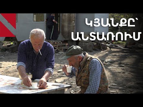 Անտառում՝ 35 տարի. Ժորա Ոսկանյանի պատմությունը