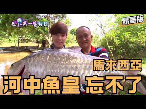 【砂勞越】野生魚皇忘不了 河魚之尊稱霸大馬 Empurau|《世界第一等》544集_精選版