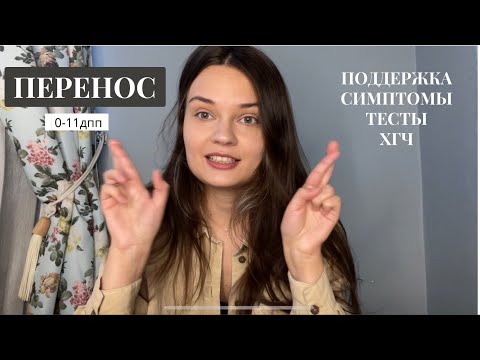 КРИОПЕРЕНОС (1-11дпп) Поддержка.Симптомы.Тесты.ХГЧ