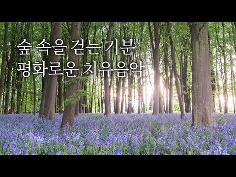 숲을 걷는 효과🌿 10분만에 머리가 맑아져요  | 5시간, 치유음악, 힐링음악, 새소리  | White Noise, the sound of birds in the forest