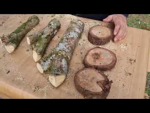 Decoração Rústica para Jardim - Casinha de Tronco que Encanta!