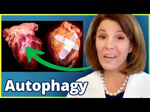 REVERSE Heart Disease with Autophagy