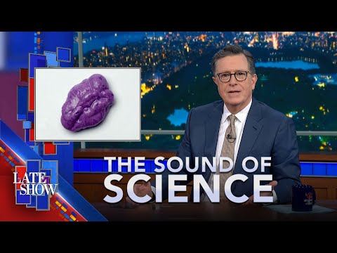 The Sound Of Science: Are Bald Men More Attractive? | Microplastics In Gum | Nature's Bone Collector