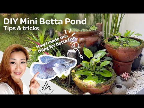 Simple DIY mini patio pond: How to make betta fish pond at home - complete ecosystem NO TECH!