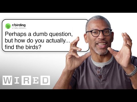 Professional Birder Answers Birding Questions | Tech Support | WIRED