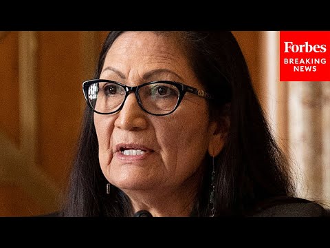 GOP Senator: All the reasons Deb Haaland is DISQUALIFIED for Interior Secretary