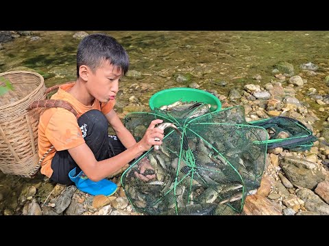 trap fishTechniques of stacking rocks to block streams, placing fish traps, harvesting fish for sale