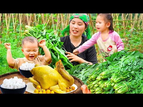 Single mom Harvests a Giant Vegetable garden to sell at the market & Cook Delicious Chicken