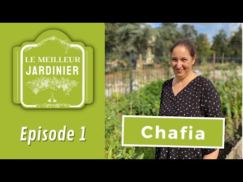 Concours du meilleur jardinier - Episode 1 :  Chafia