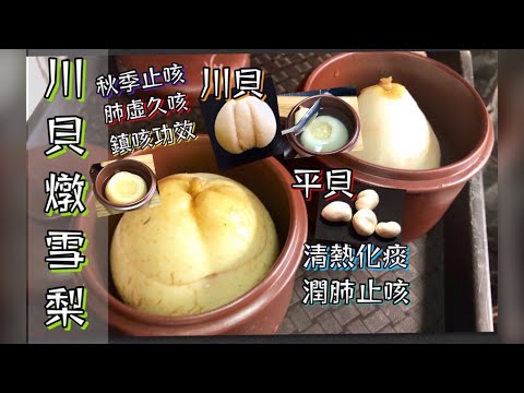 川貝燉雪梨 秋季止咳 肺虛久咳 鎮咳功效 簡單做法