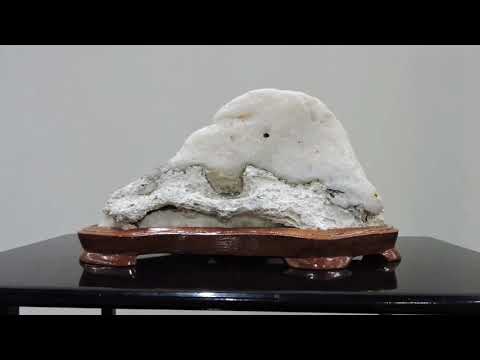 1st UK Association Bonsai Show Suiseki exhibits