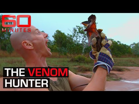 WATCH: Journalist hunts Australia's deadliest animals for venom | 60 Minutes Australia