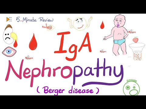 IgA Nephropathy (Berger’s Disease) - Nephritc Syndrom - Nephrology 🩸