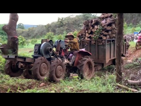 How and with what firewood is transported in different countries of the world / Video selection