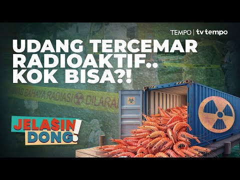 Radioaktif di Udang Kita | Jelasin Dong!