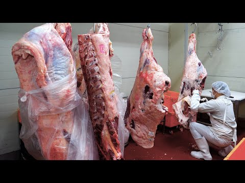 Process of Making Korea’s Giant Beef Cuts | Meat Factory Start to Finish