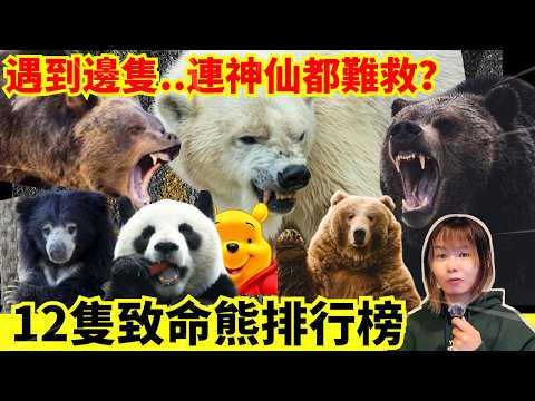 【12種最兇猛熊類排行榜】由最溫順到最兇猛熊種、遇到那一隻真的神仙也難救？外表溫順可愛內裡兇殘成性？熊界知識！日本北海道熊是最兇猛的灰熊？中文字幕 #熊 #日本熊 #廣東話 ＃日本旅遊 #廣東話