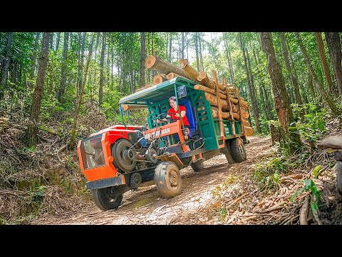 TIMELAPSE — Sell Old Trucks, Buy New Trucks for Heavy Duty Firewood Transport | Xuan Farm Trucking