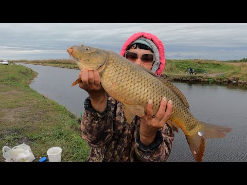 Торпеды прут на ПОПЛАВОК! Я еле удочку держу!!! Мне этих рыбин не поднять! Рыбалка на САЗАНА