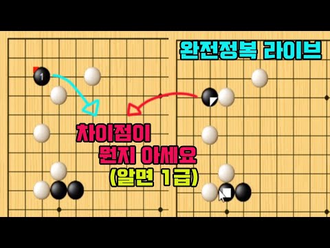 [화점 침입 완전정복 라이브] 침입과 붙임을 정확히 알면 기원 1급입니다