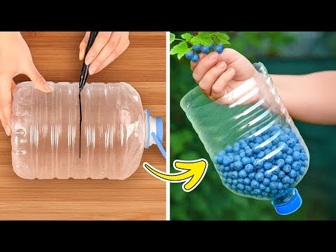 Clever Garden Hacks to Grow Plants and Collect Crops Easily 🧑‍🌾🌿