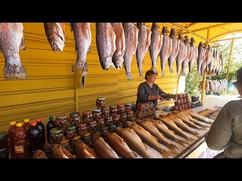 ОТДЫХ НА ИССЫК-КУЛЕ | Купаемся в горячих источниках, пьём Кумыс и кушаем вкусный шашлык из баранины