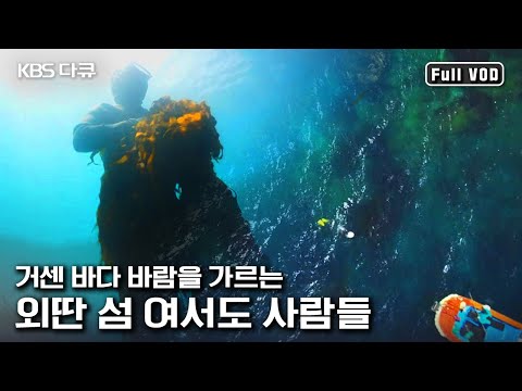 제주도와 완도 사이 외딴섬, 여서도 섬마을 사람들의 바다 인생 |  “바람의 섬 여서도” (KBS 160402 방송)