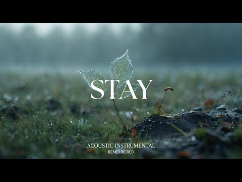 Peaceful Guitar for Stress Relief, work and study | REMEMBERED