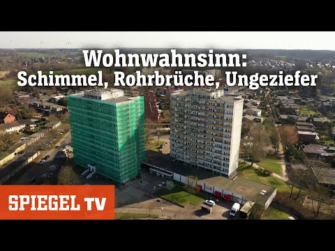 Wohnwahnsinn: Schimmel, Ungeziefer, Rohrbrüche und kein Heißwasser | SPIEGEL TV