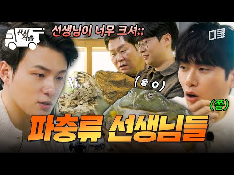 [#일요일엔핸썸가이즈] 핸썸즈 기강 잡으러 온 파충류 선생님들ㄷㄷ 역대급 사이즈에 할 말을 잃어버림ㅋㅋㅋ | #산지직송