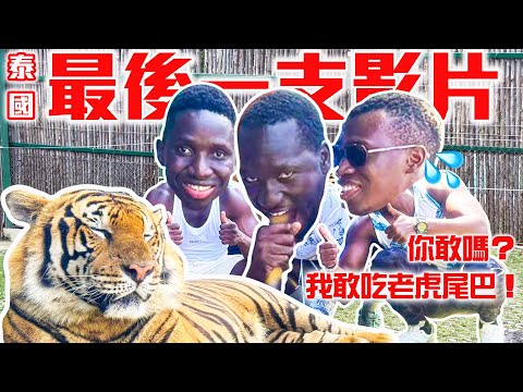 最後一天玩老虎尾巴、蛇吻留下難忘的回憶！用酷的10萬玩泰國有成功嗎？｜泰國4天3夜4人10萬挑戰 DAY4