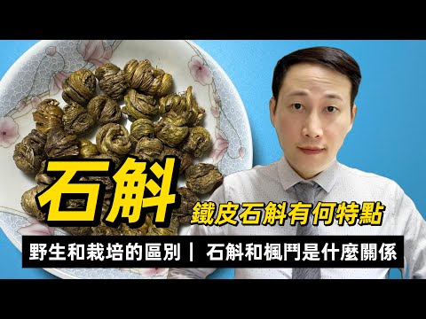 石斛，野生和栽培究竟有何區別？石斛和楓鬥是什麼關係？石斛是否值得？