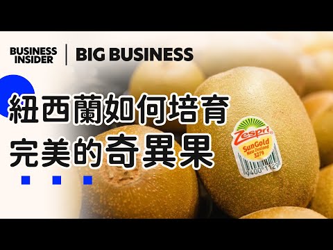 你吃的奇異果這麼甜，原來是這樣來！—從果園到工廠，帶你看紐西蘭產業鏈BUSINESS INSIDER TAIWAN