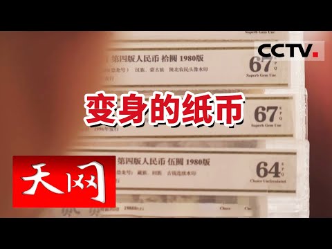 《天网》涉案2000万 汤阴警方侦破特大变造旧版人民币诈骗案 20240220 | CCTV社会与法