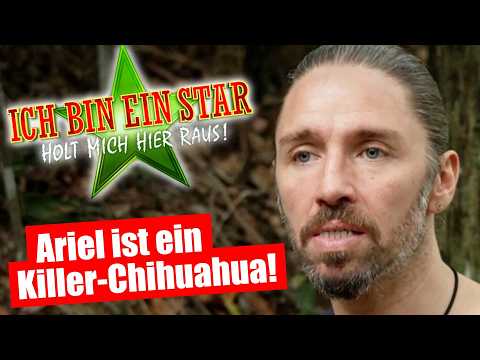 Dschungelcamp 2026: GIL SCHLÄGT ZURÜCK!