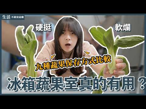 冰箱的蔬果室真的有用嗎？9種蔬菜保存方式大比拼！沒想到「它」是最強的！｜蔬果保存｜生活不就是這樣 This is Life