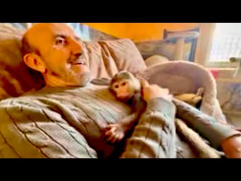 Anfisa simply UNWINDED my sweater in five minutes! She's not a child, she's a miracle with horns😃