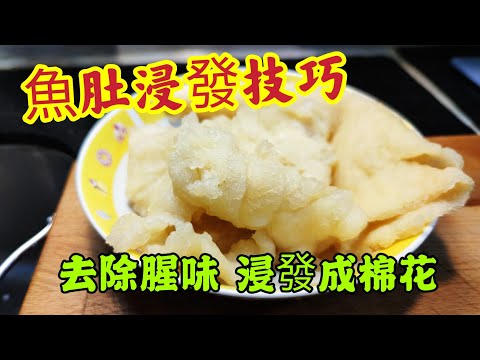 〈 職人吹水〉 魚肚浸發技巧 / 如何去除魚肚腥味/ 魚肚浸發脹身 /魚肚入味/ 當中細節技巧 /毫無保留分享 /人人做廚神/@Singsingkitchen