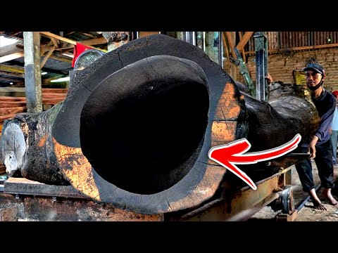 They Found a Fortune Inside This Hollow Log!