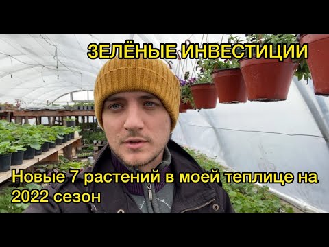 Как заработать 1000% инвестируя в растения