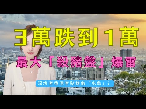 專捉香港人！3萬入貨，1萬沒人接？大灣區最大“殺豬盤”爆雷！邊個仲去中山做“水魚”？過橋費貴過租房？踢爆深中通道“雙城生活”謊言！馬鞍島業主血淚賬：早知深中通道通車繫“催命符”！#房地產 #大灣區樓盤