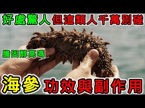 海參的功效和副作用，什麼樣的人不適合吃海參？海參不能和什麼一起煮？海參的膽固醇高嗎？海參是高蛋白嗎？海參可以每天吃嗎？