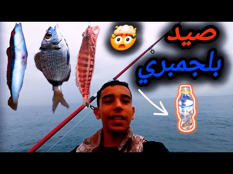 أدغال الصيد : التحدي صيد البوري و لم تنجح و لكن اصتادنا بلجمبري تحدي البقاء على قيد الحياة